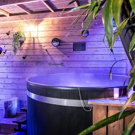 Glam88 Avec Et Sauna Privatif Appartement Remiremont